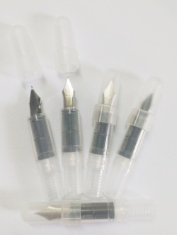 Fountain Pen Sections